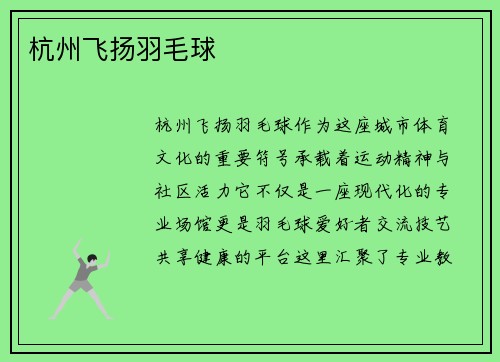 杭州飞扬羽毛球