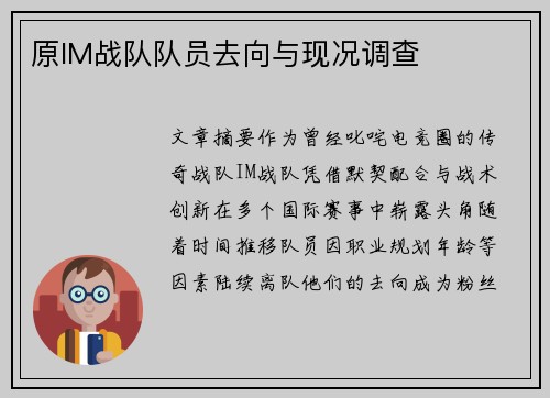 原IM战队队员去向与现况调查